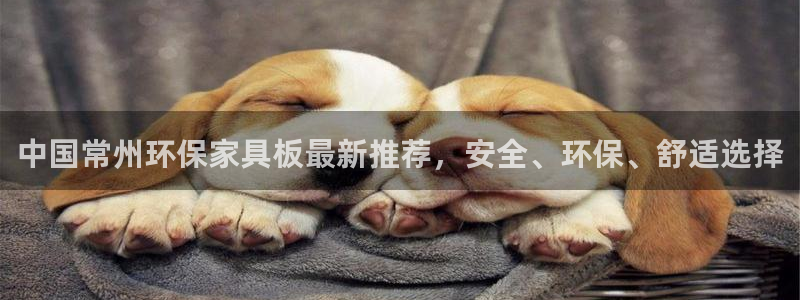 沐鸣官网娱乐