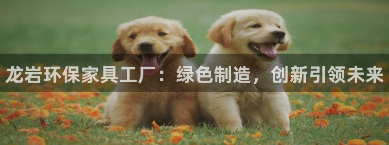 沐鸣平台手机app：龙岩环保家具工厂：绿色制造，创新引领未来