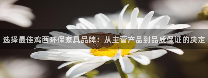 沐鸣代理连接：选择最佳鸡西环保家具品牌：从主营产品到品质保证