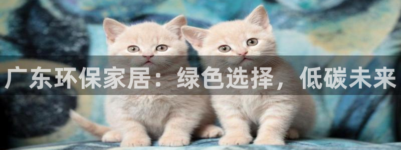 沐鸣平台官方网站下载：广东环保家居：绿色选择，低碳未来