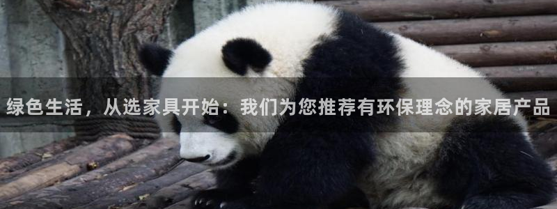 沐鸣网页手机登录：绿色生活，从选家具开始：我们为您推荐有环保