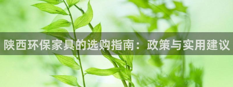 沐鸣平台网站是什么：陕西环保家具的选购指南：政策与实用建议