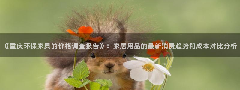 沐鸣平台代理：《重庆环保家具的价格调查报告》：家居用品的最新